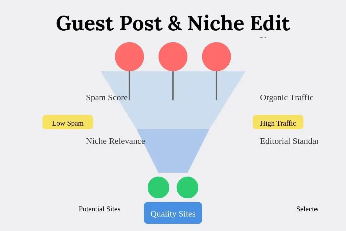 Guest Post Niche Edit